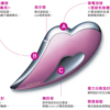 REFA CAXA UP 雙效美顔器