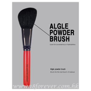 Too Cool for School Make-up tools - Algle Powder Brush TOO COOL FOR SCHOOL 化妝掃 – 烟脂掃
